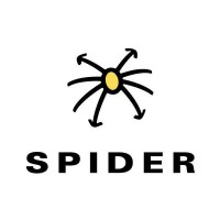 Spider Netzwerk Consulting GmbH 9