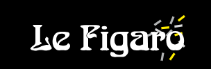 Le Figaro 13